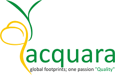 Acquara Management Consultant