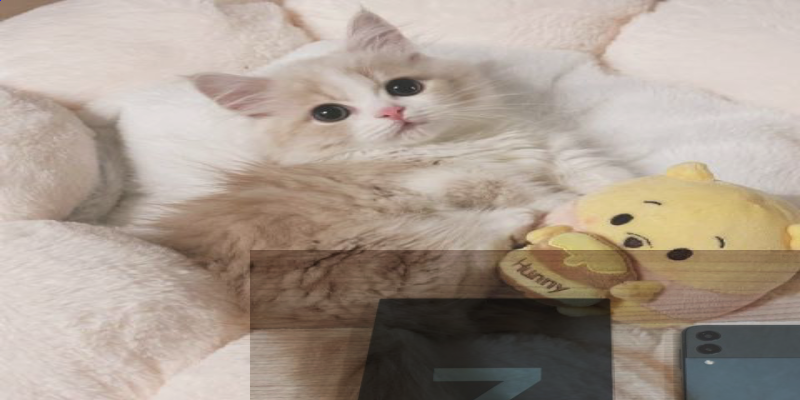 slide-image