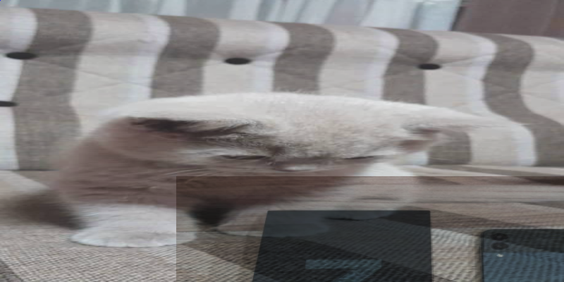 slide-image