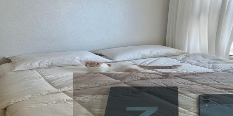 slide-image