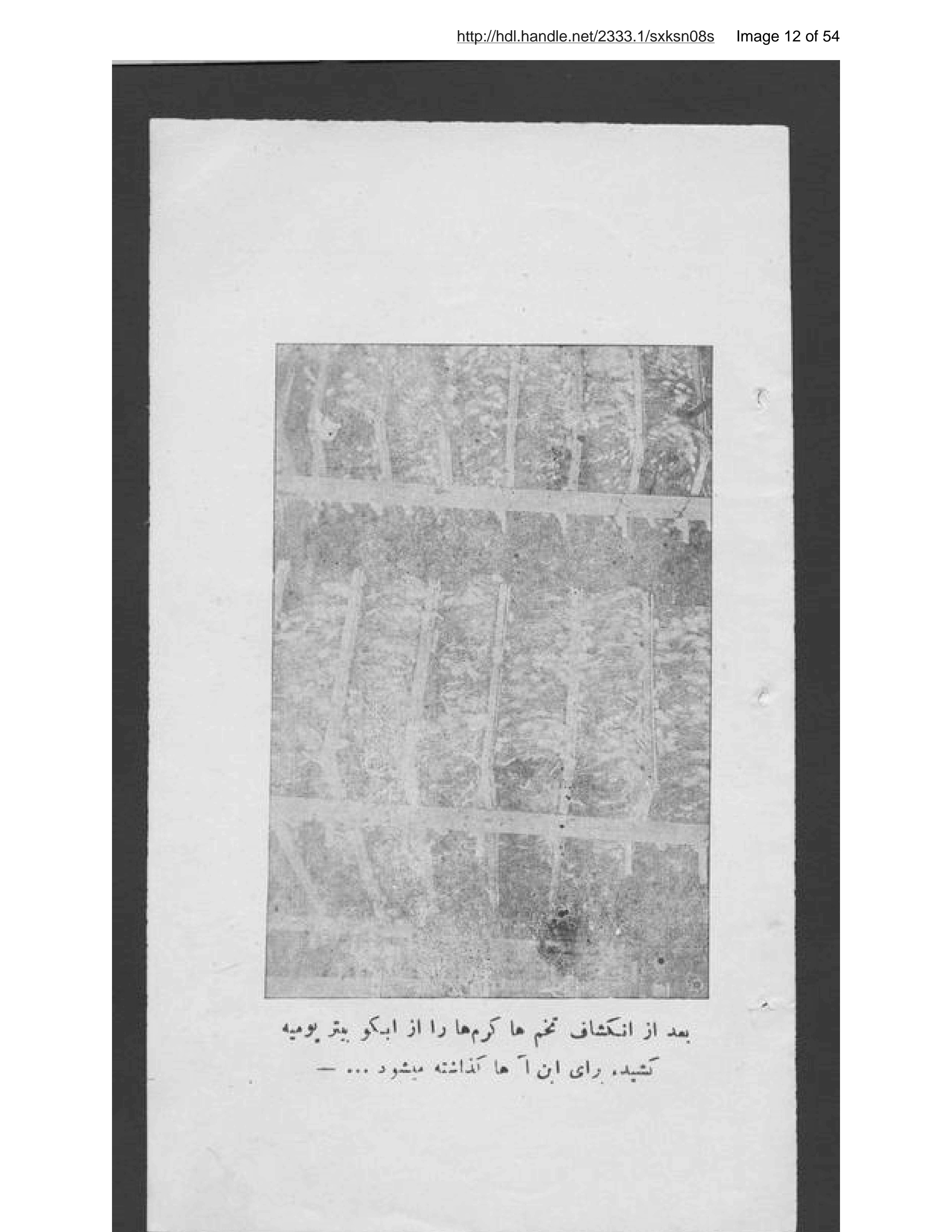 Page 13 of Uṣūl parvarish karm-i pīlah
