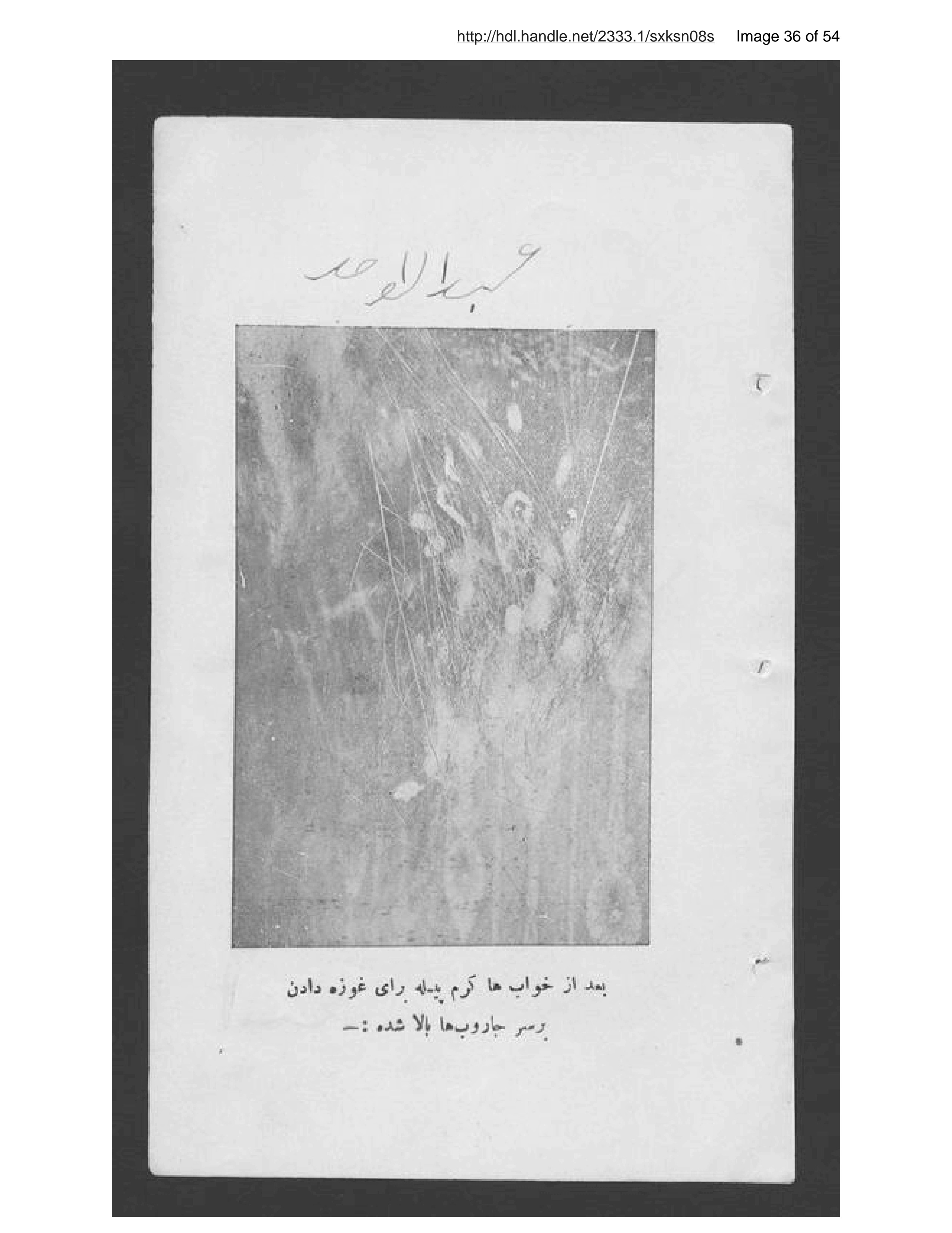 Page 37 of Uṣūl parvarish karm-i pīlah