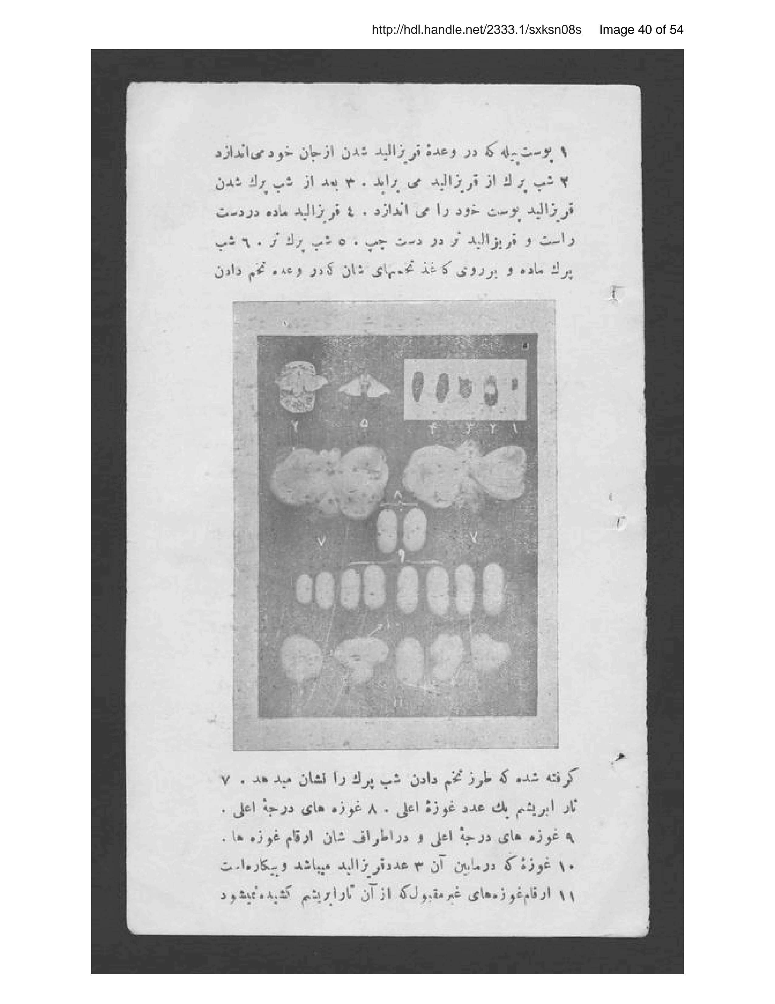 Page 41 of Uṣūl parvarish karm-i pīlah
