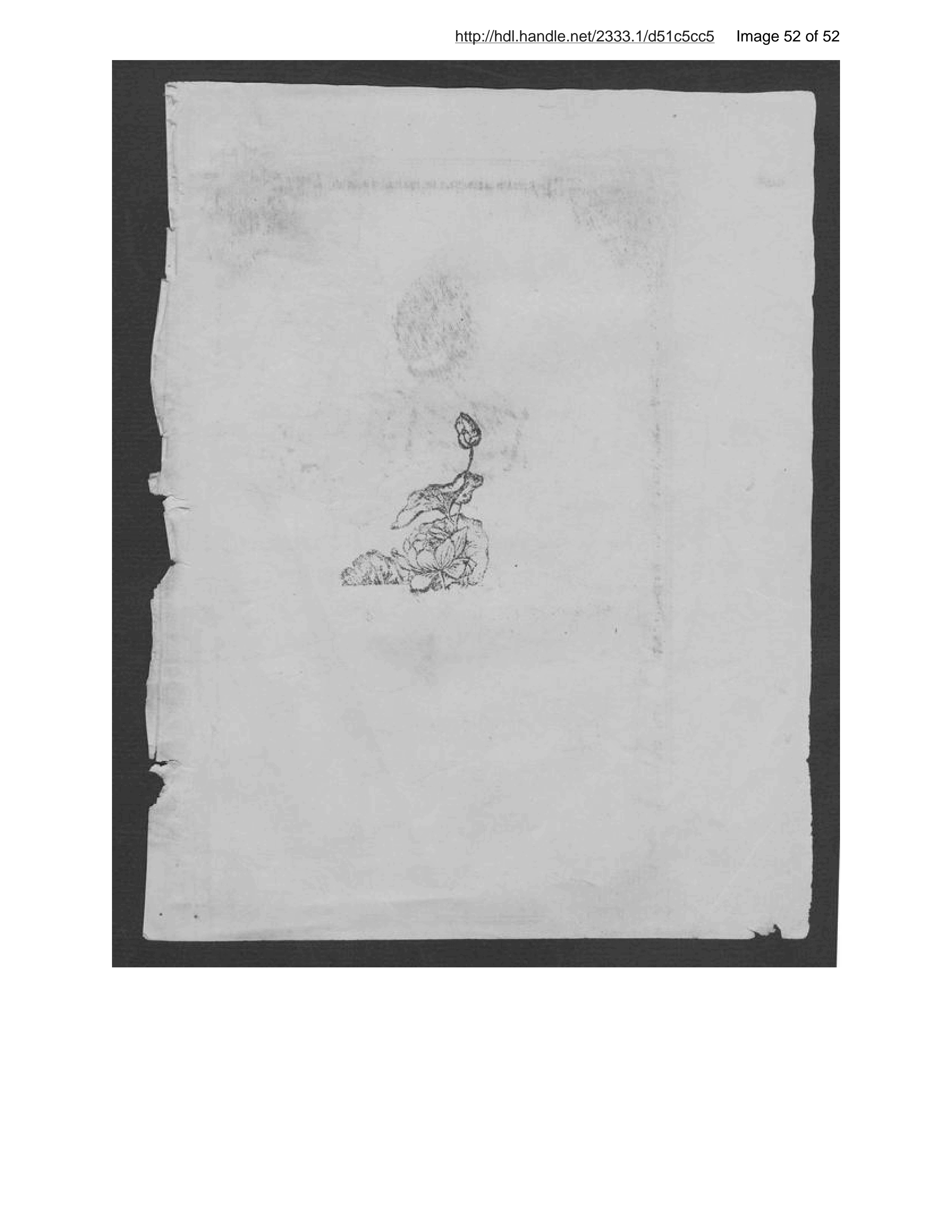 Page 53 of Niẓāmnāmah-ʼi akhz̲ rusūm-i gumruk