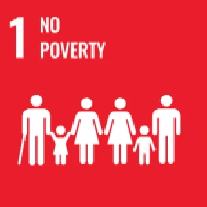 No poverty