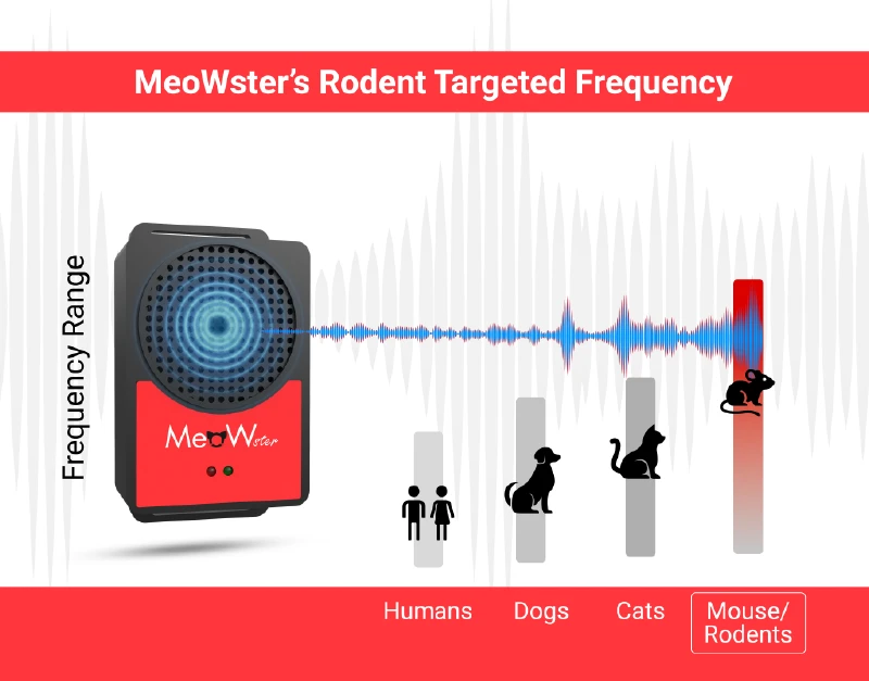 Targeted frequency