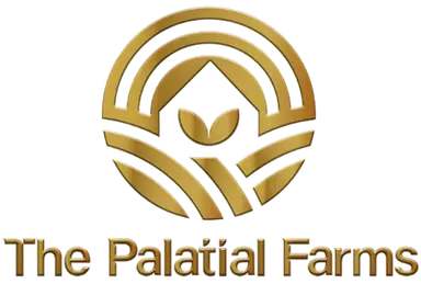 project image of The Palatial Farms