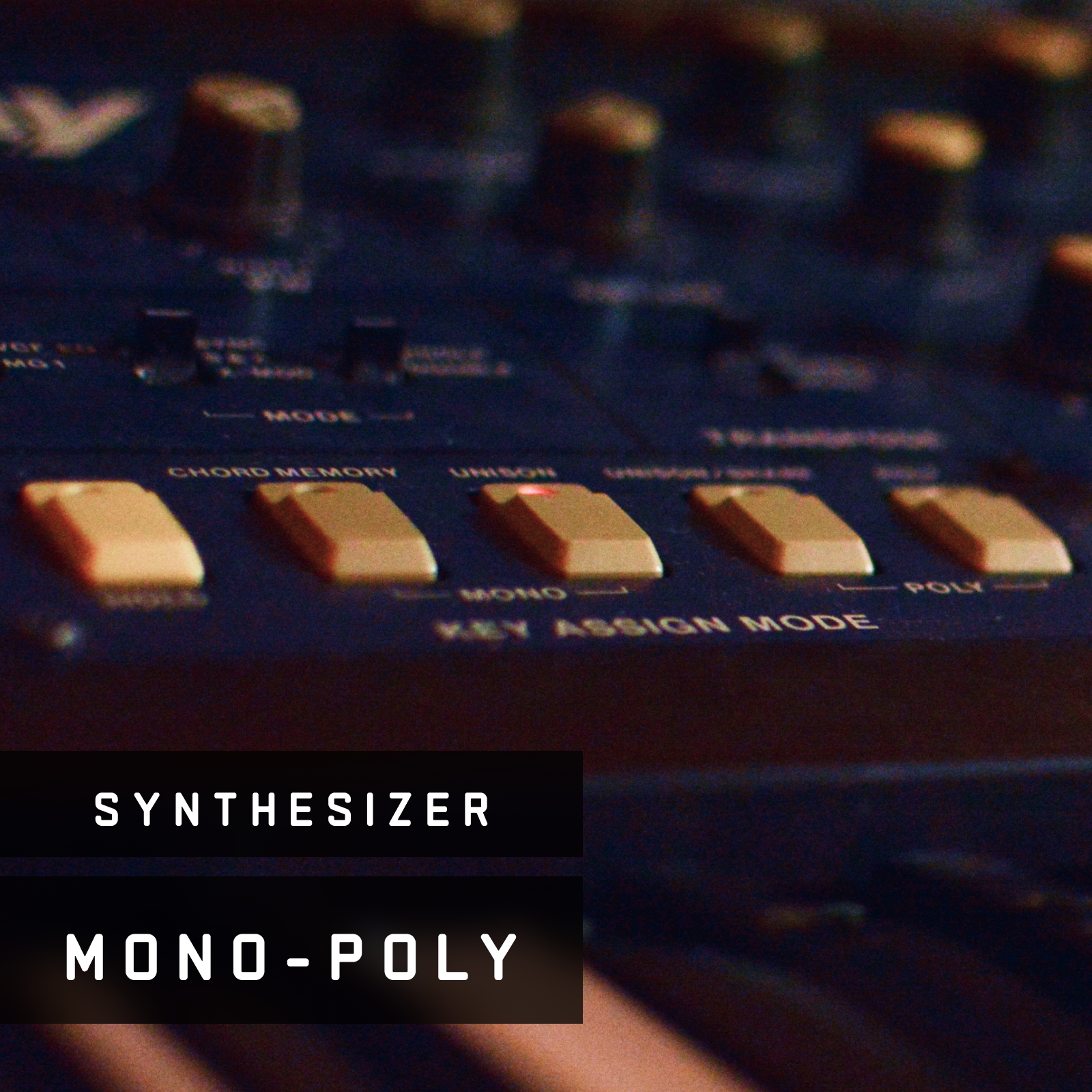 Vintage Synthesizer: Mono-Poly
