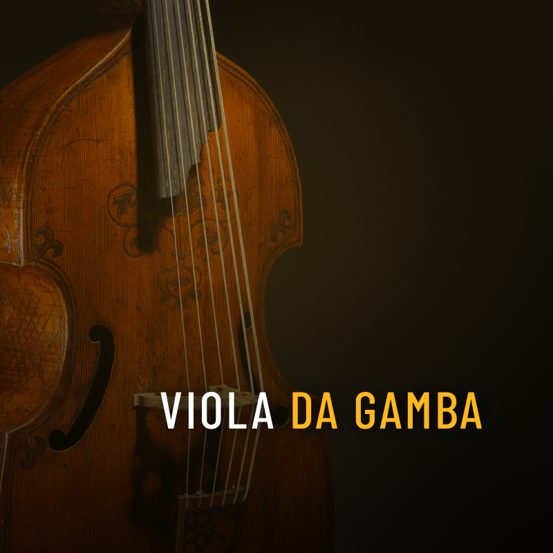 Viola Da Gamba