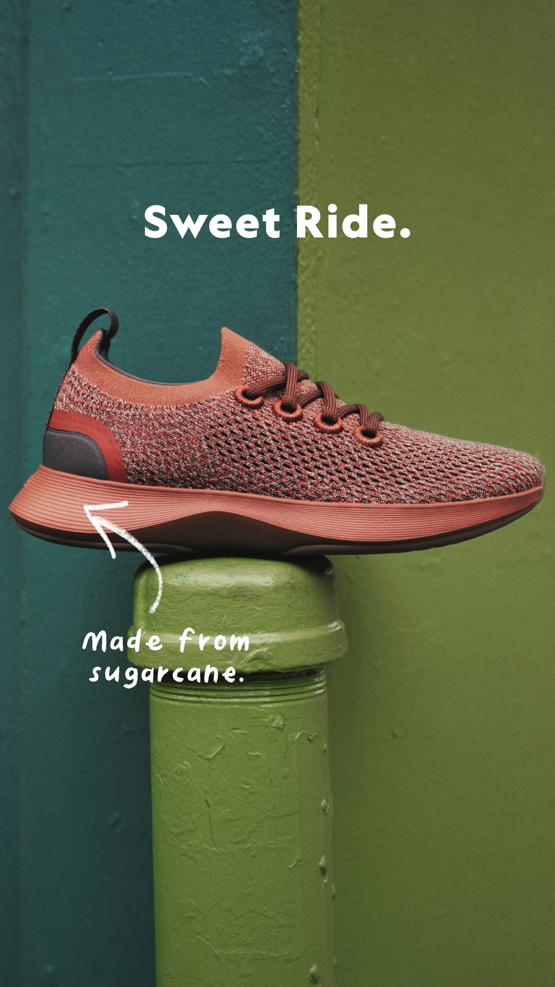 Allbirds creative