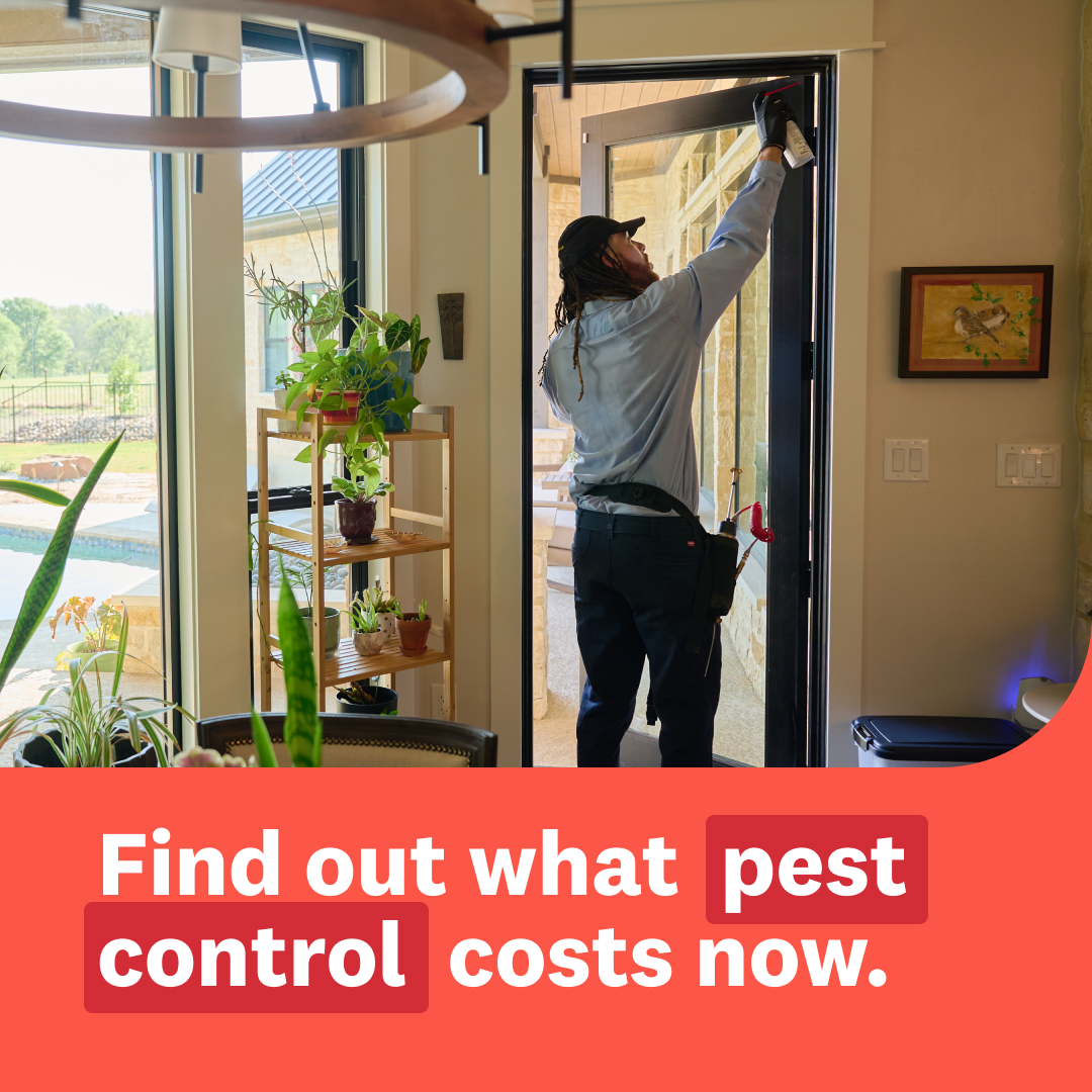 Angi (formerly Angie's List) creative