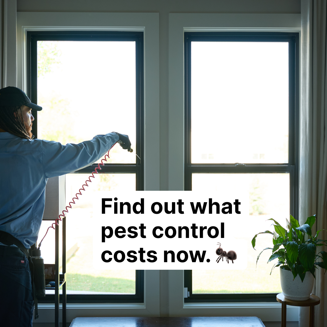 Angi (formerly Angie's List) creative