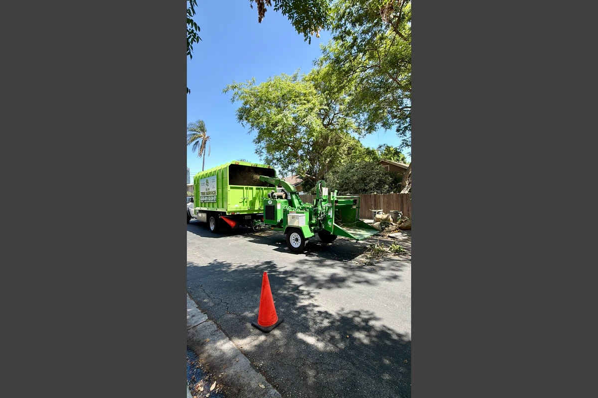 Tree Service San Gabriel Valley Image