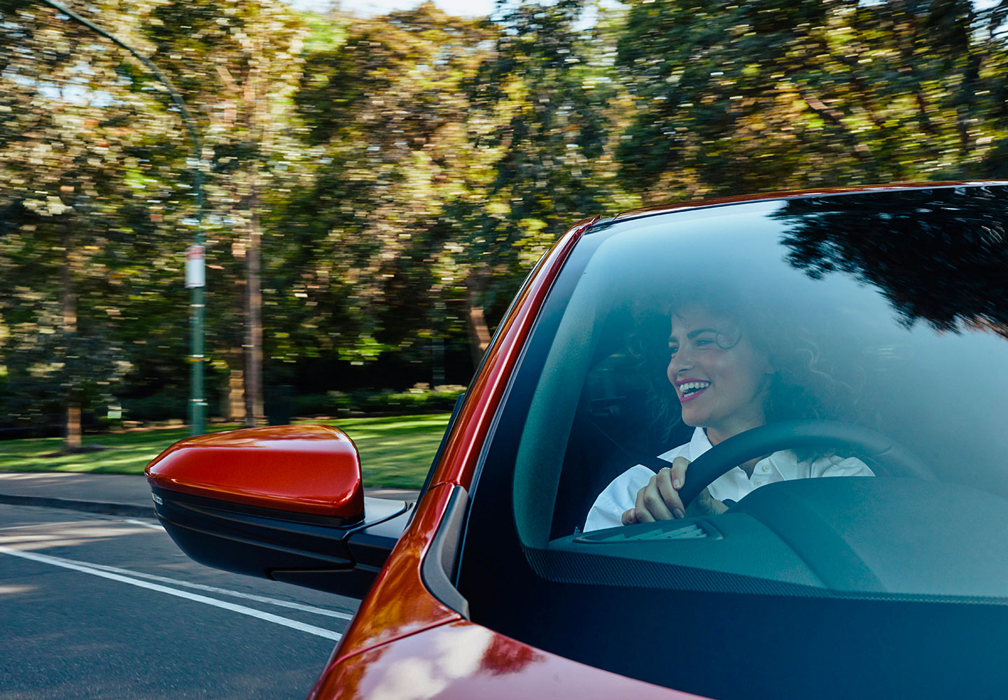 Vehicle stability assist (VSA)