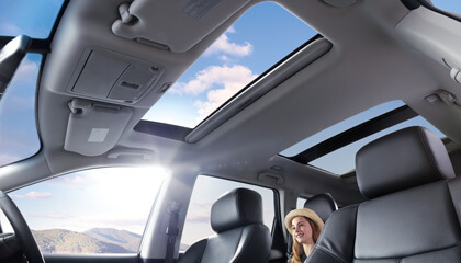 Where the sun shines on everyone