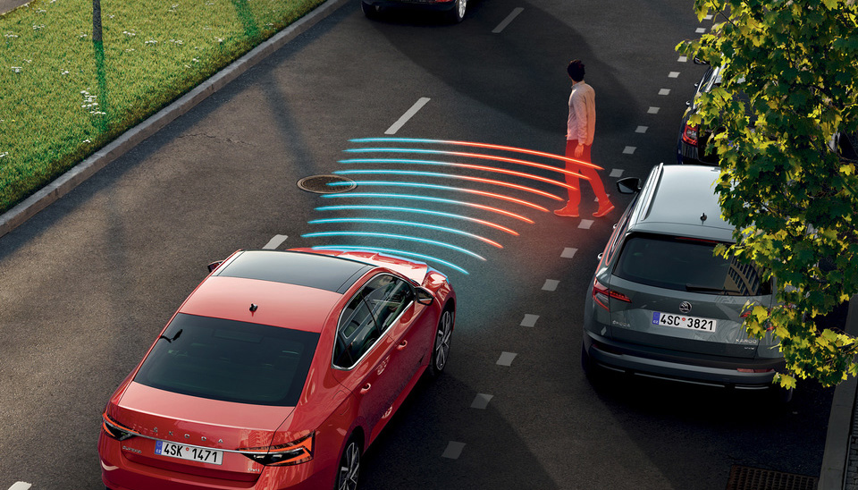 superb-scout Stylish