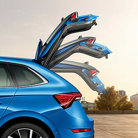 Auto Tailgate