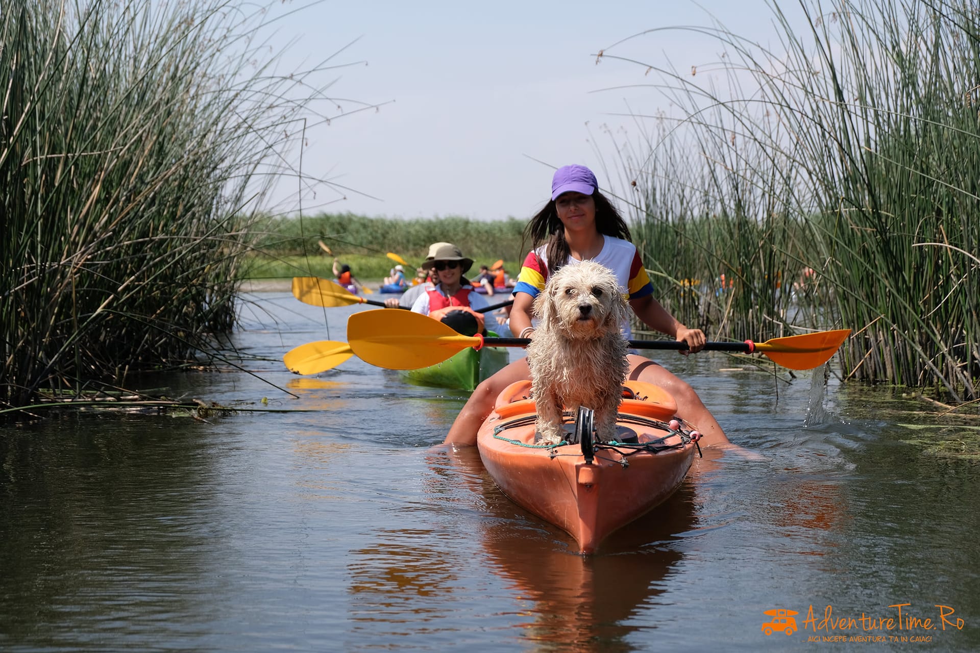 Aventura & Caiac & SUP in Delta Neajlovului – Comana Evenimente pentru tot anul 2025 - Imagine 1