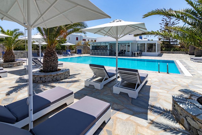 The sunbeds by the pool of the Daylight Wing, with the palm trees and the pool bar in the background