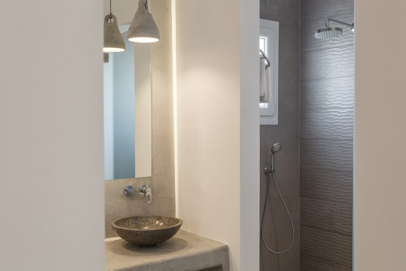 The interior of the suite with the glimpse of the counter and the wash basin with the mirror, and the shower in the bathroom