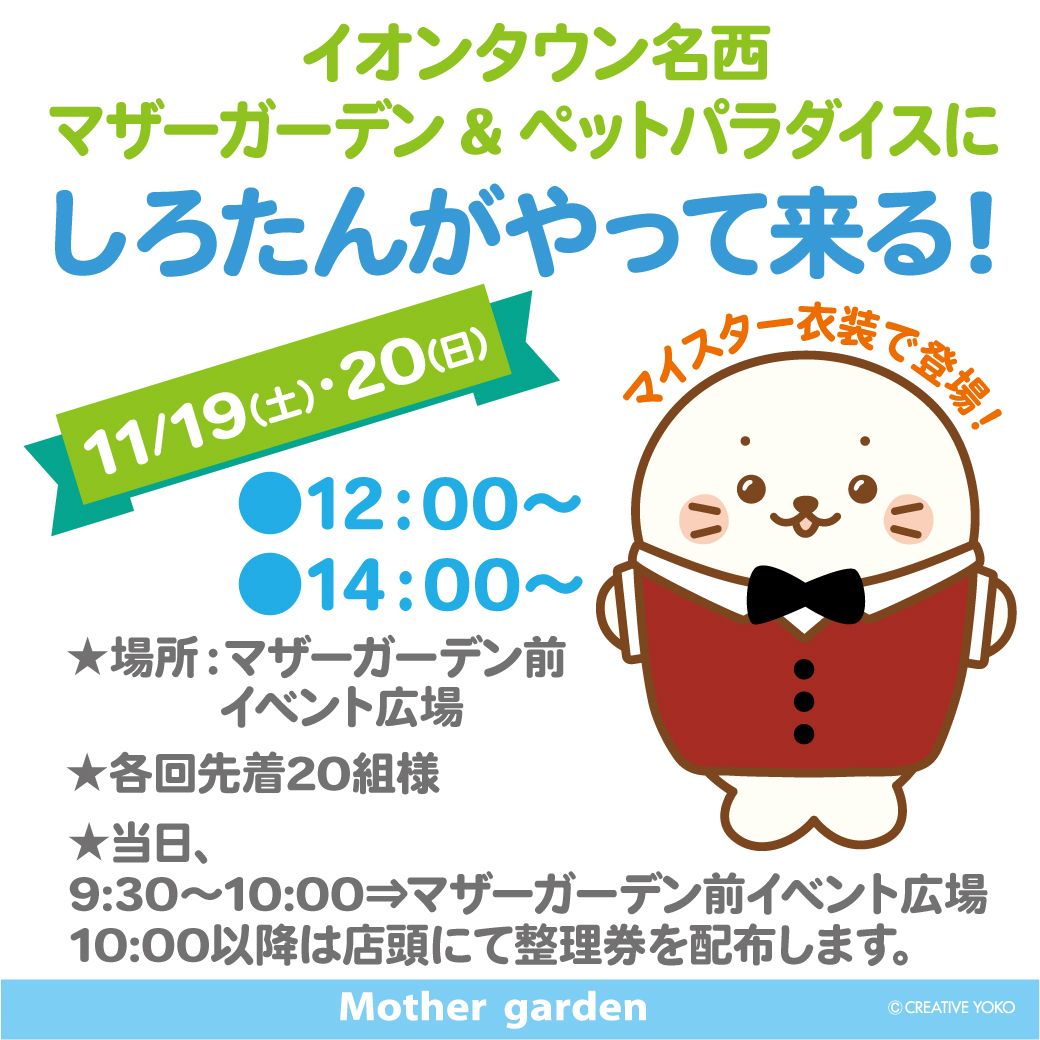 11/19(土)20(日)しろたんがやって来る！