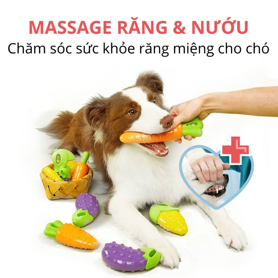 Đồ Chơi Gặm Cắn Cho Chó Phát Ra Tiếng Fofos