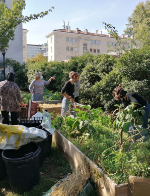 colocation solidaires ecologie