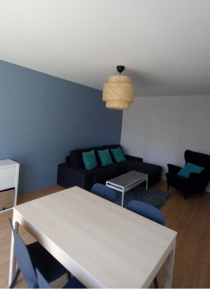 coloc rouen rive gauche