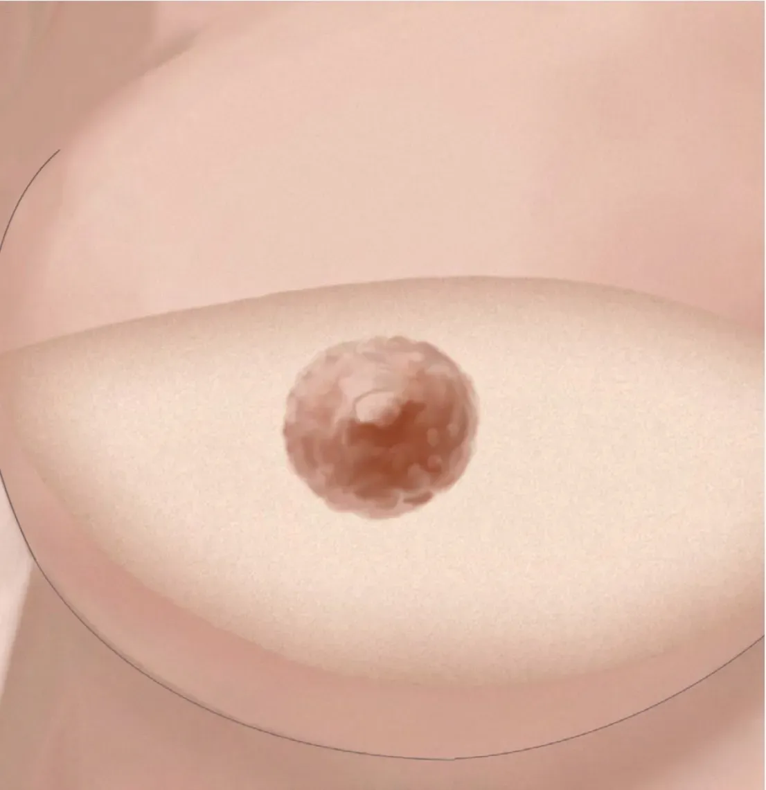 Rappresentazione di un seno