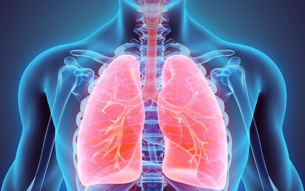 Pneumologia Pneumologia