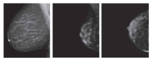 Social Square (90).png