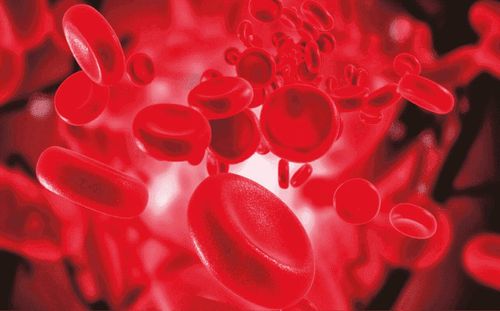 Check-Up Anemia