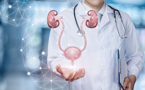 Check-Up Renal