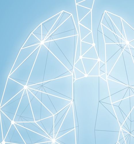 Espirometria Simples