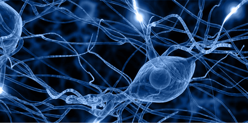 Représentation d'un neurone