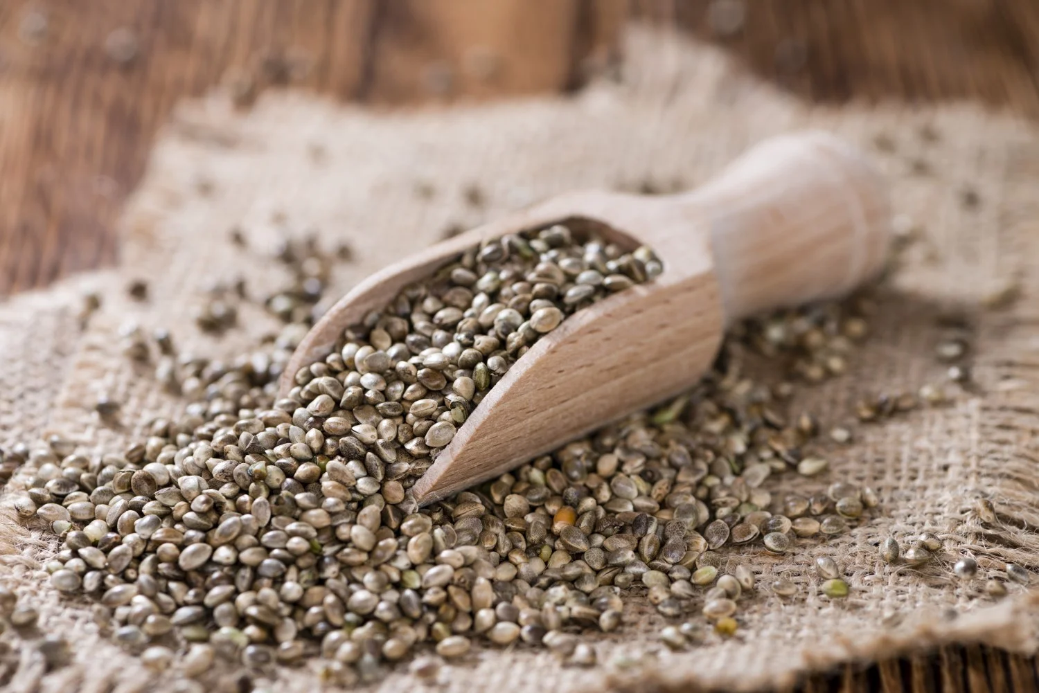 Sementes de Cânhamo