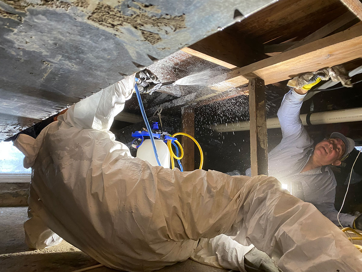 Mold Remediation Services in Brick, NJ
