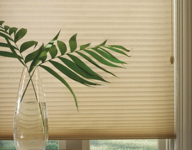 Affordable Blinds and Design Lincoln, Nebraska Duette® Architella