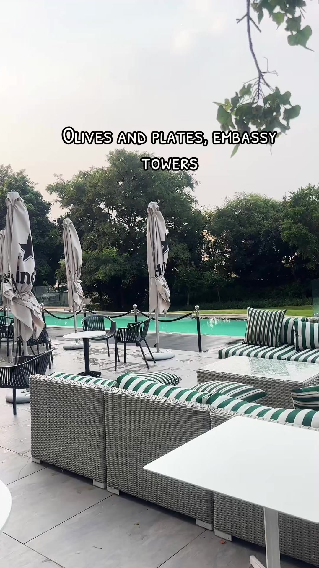 Olives And Plates