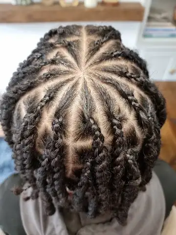 Braids and Plaits
