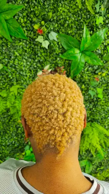 Tez Xtensions_Hair_4u