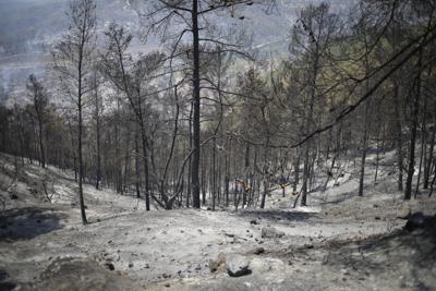 El páramo de tierra arrasada y árboles quemados corresponde al tercer día de incendios en los montes cercanos a Jerusalén, martes 17 de agosto de 2021. (AP Foto/Ariel Schalit)