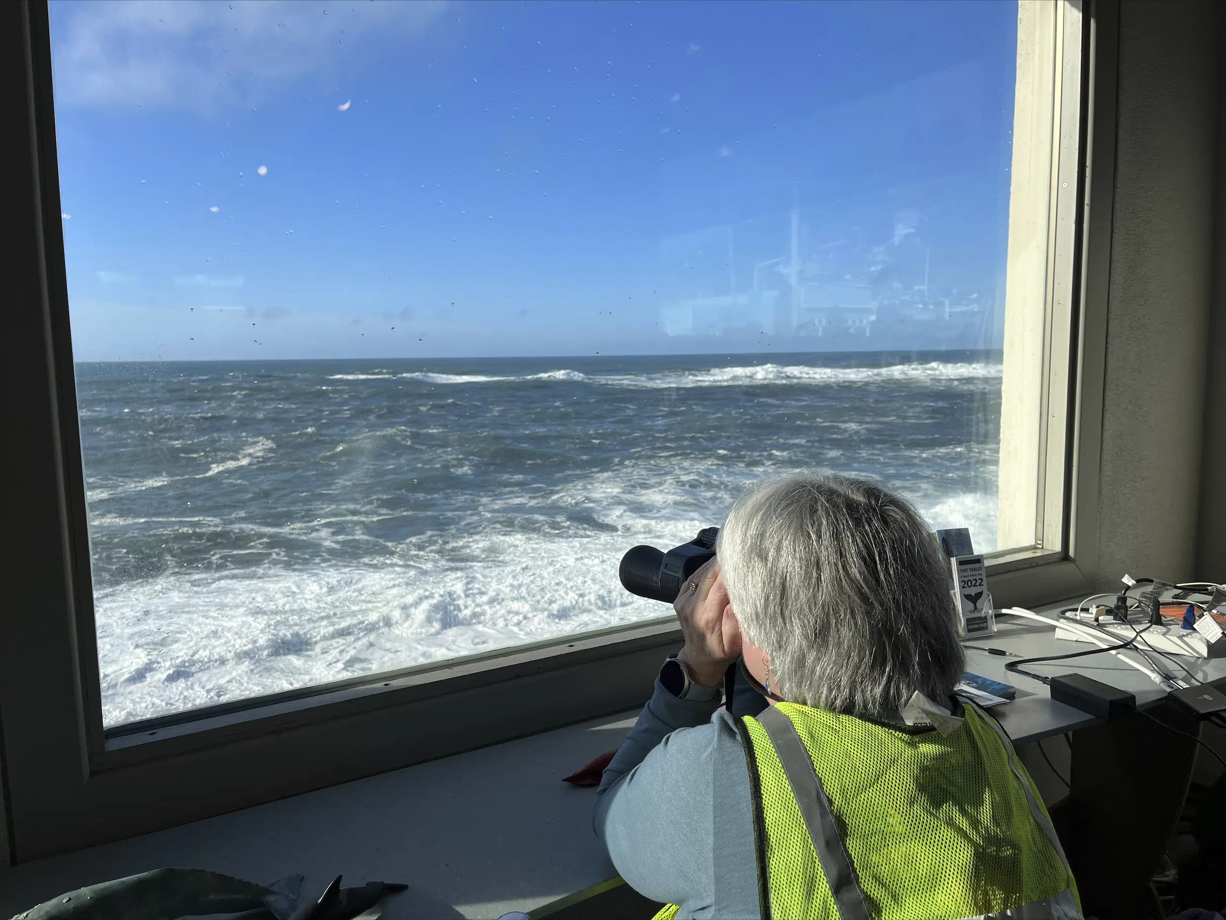 La Whale Watch Week revient en personne dans l’Oregon après la pandémie