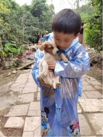 Chinese students will have to provide service work for stray animal shelters