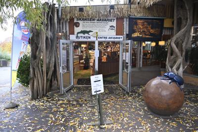 Entrada del acuario Skansen en el zoológico de la isla Djugarden, donde una víbora venenosa que escapó el sábado a través de un artefacto de iluminación en el techo de su jaula de vidrio, en Estocolmo, Suecia, 24 de octubre de 2022. Empleados del zoo avistaron la víbora, pero aún no la habrían recapturado, se informó el viernes 28 de octubre de 2022. (Henrik Montgomery/TT News Agency via AP)