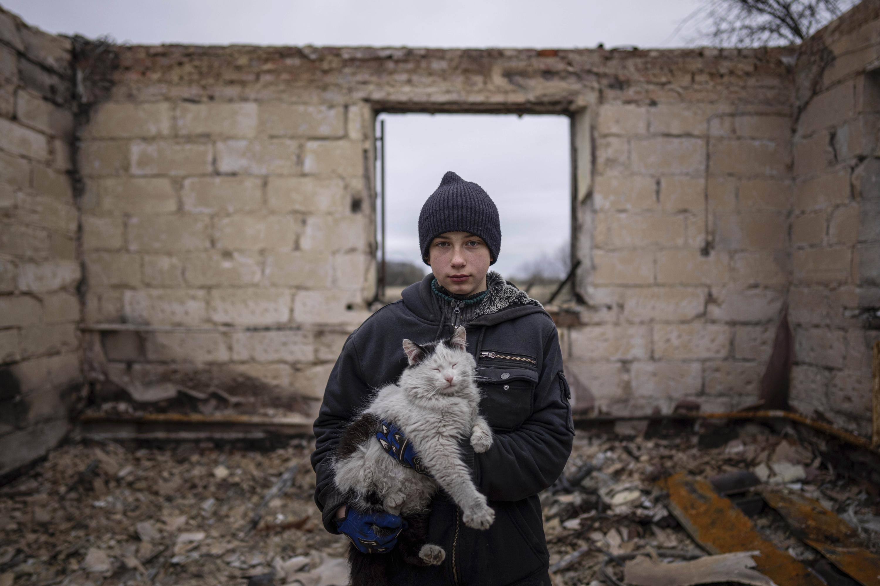 Ukrainian cat captures public's mood about war in viral photo