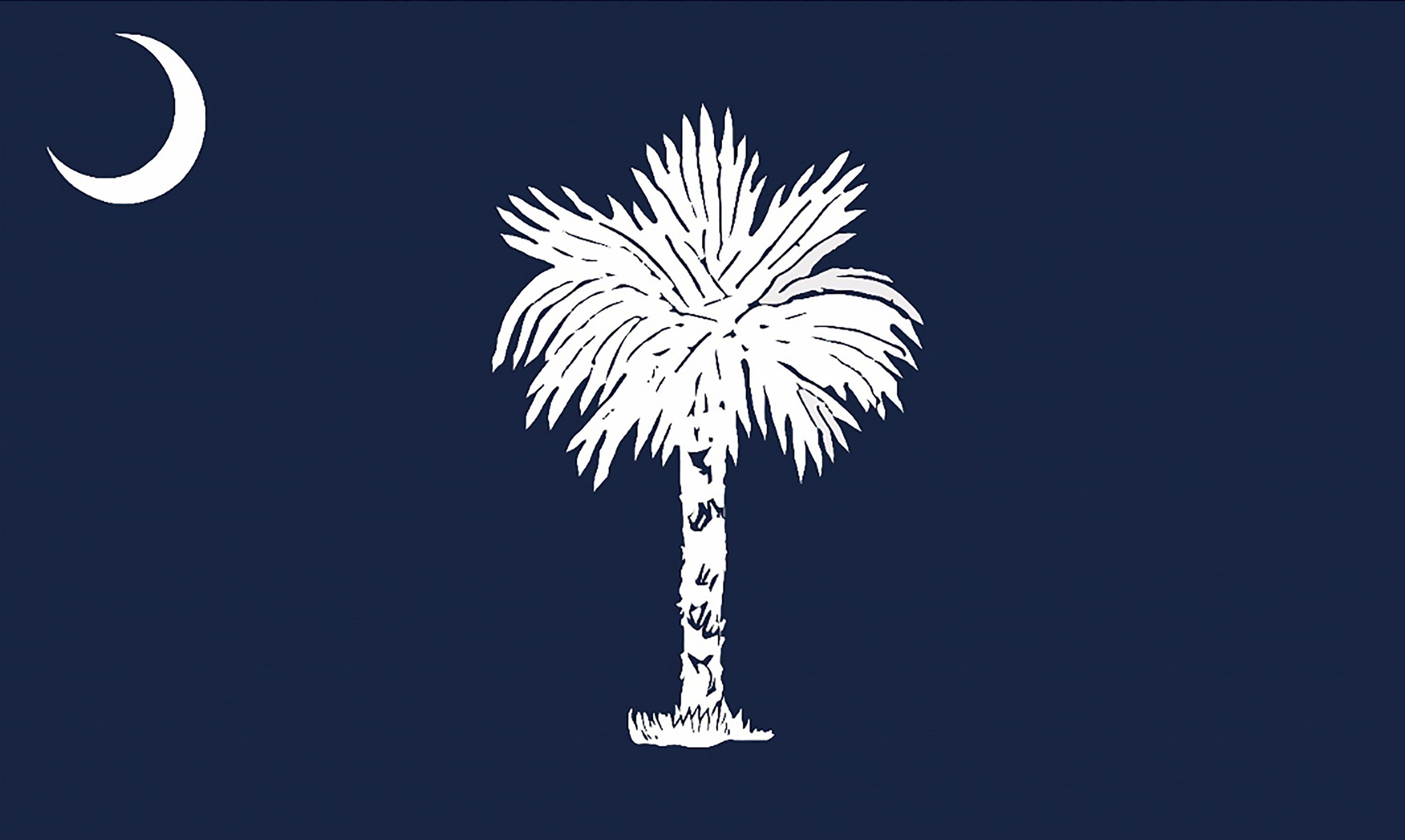 Group of South Carolina senators make reluctant choice of flag