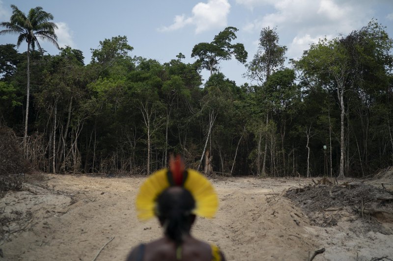 Brazil Says Amazon Deforestation Is Worst Since 08 Brazil Says Amazon Deforestation Is Worst Since 08