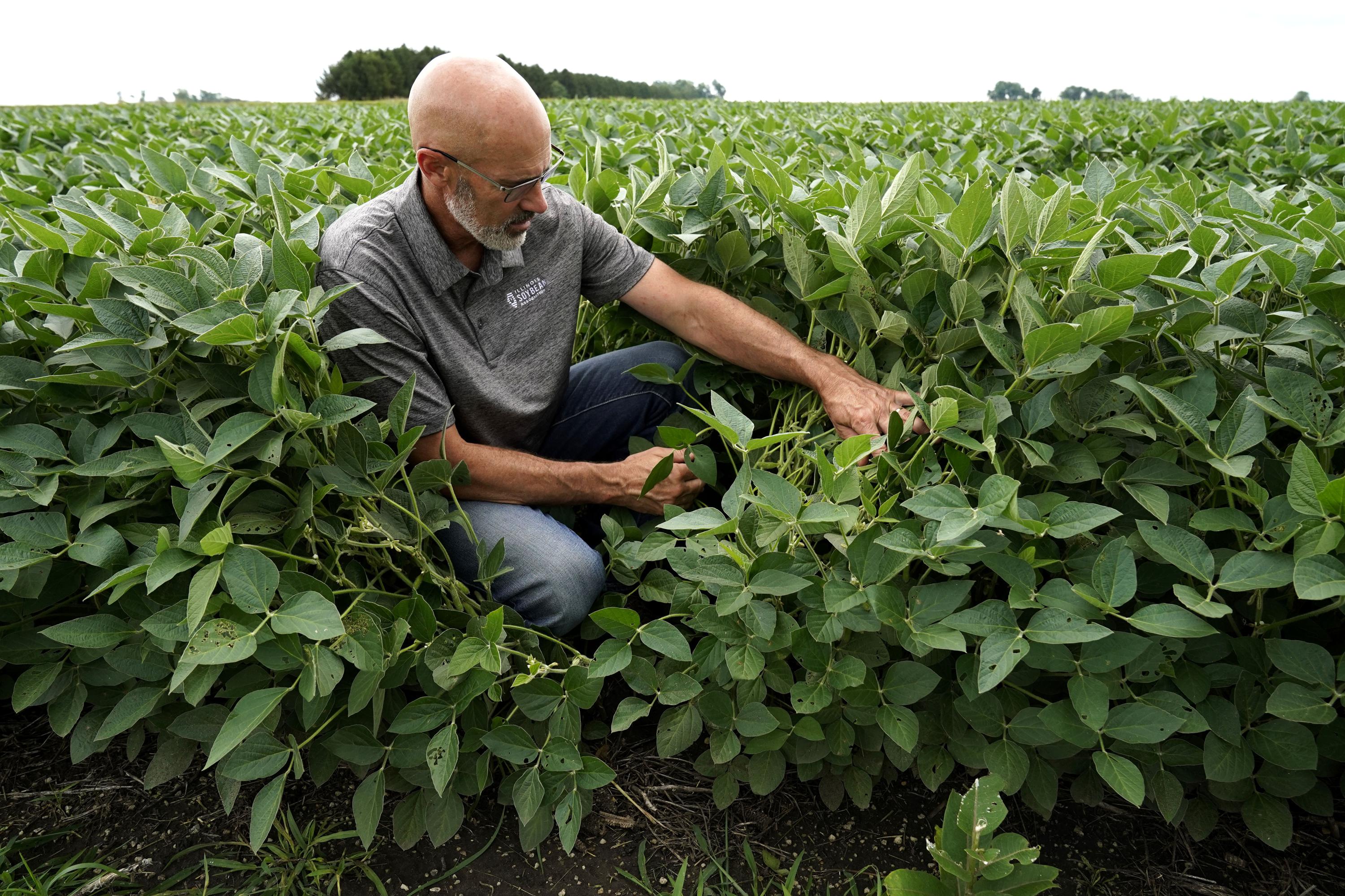 2 crop. Новый Crop. Farmer USA.