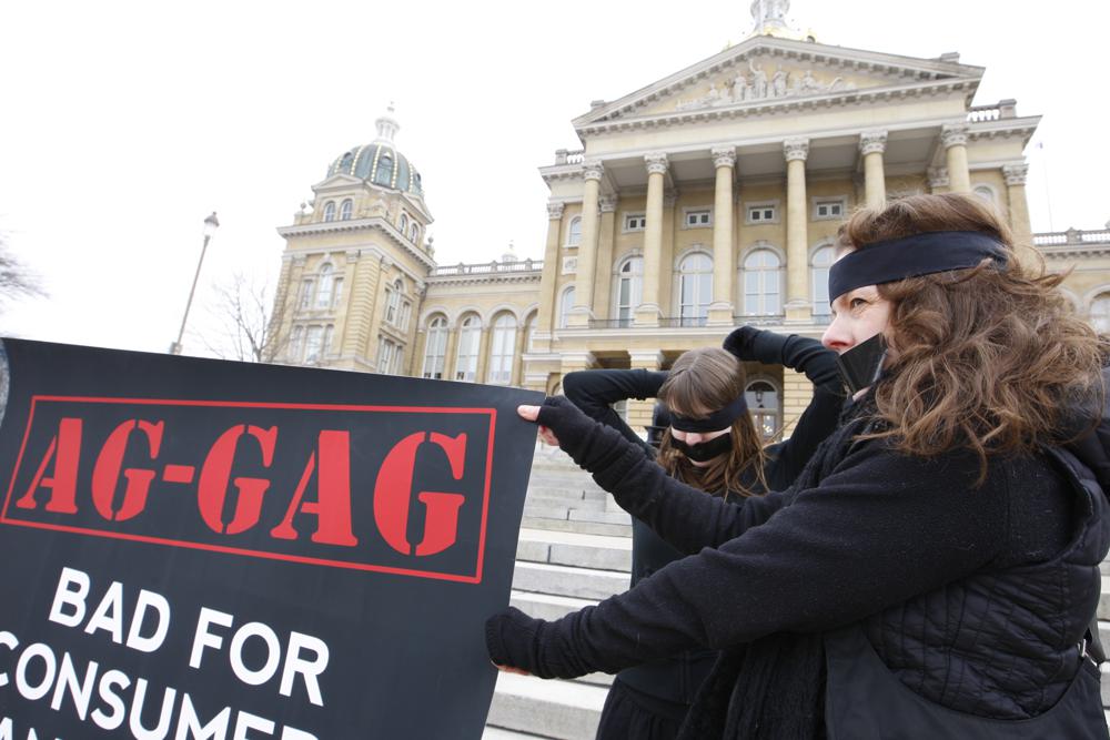 FILE - Subrey Zill, 23, of Chicago, left, puts on a blindfold as Melinda Ellwanger, 46, of Des Moines holds a large sign with members of Mercy For Animals, a national animal advocacy group, as they protest the passage